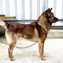 재왕 농장 이미지