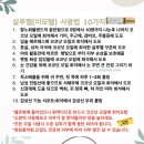 피부미인터치