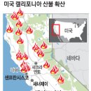 로드앤드미 이미지