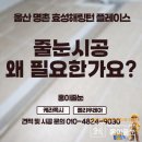 울산 줄눈시공의 필요성 명촌 효성해링턴 현장 후기