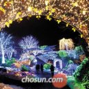 [수목원 빛 축제] 고요한 겨울 수목원… 밤이 되면 동화 속 판타지로 이미지