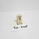 꼬리별펫케이크 이미지