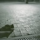 선교농장 이미지