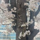 역삼-1530 이미지