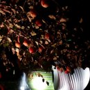 하얀버섯팬션민박 이미지