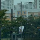 용죽초등학교 | 평택 용죽초등학교 수학 문해력 강의 (ft.수독대공부법)