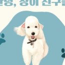 안녕;상이친구들!