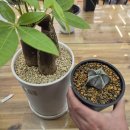 송내대로27번길 이미지