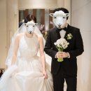 로즈파크 | 오브로즈 스냅 본식촬영후기 보타닉파크웨딩 밝은홀