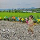 올쏘팜 | 올쏘팜 : 공간 대여 팜크닉 : 24개월 아기랑 경주 여행