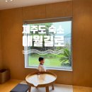 애월길로 | 아기랑 제주도 숙소 키즈프렌들리 "애월길로" 감성 숙소 내돈내산 솔직후기