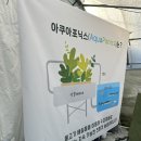 서부산업도로 | 전북 정읍 체험형 카페, 실내 비닐하우스 딸기체험 가능! 아이와 함께 가볼만한곳 '하우스로' + 꿀팁