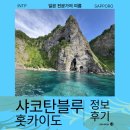 (유)대원시내버스 | 버스 투어로 다녀온 삿포로 샤코탄 블루 초여름 방문 후기 및 정보