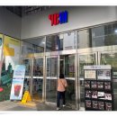 호주워홀 전문 강남영어회화 학원 YBM 사라쌤 3단콤보 찐 수강 후기