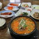 통뼈연가 Daum카페