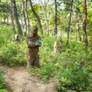 피노키오뮤지엄 이미지