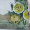 헤어월드 이미지