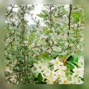 보리수미용실 이미지