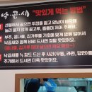 조방낙지낙곱새 이미지