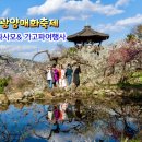 (주)여행이좋은사람들 이미지