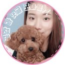 초원생고기 이미지