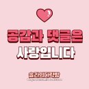 대호솔라 | 기장여행 기장 아홉산숲 : 울창한 대나무숲이 인상적인 수목원 더킹 촬영지