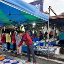 번개시장 화장실 | 함께 새벽시장 탐방! 오징어회랑 골뱅이까지! 삼척 번개시장 방문기 (운영시간, 주차, 화장실, 가격, 꿀팁)