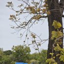 제이케이(JK) 부동산중개사무소 | 관악구 신림동 수익형건물 50억 고시원건물 매매 고시원넷 ,고시원스쿨 ,아이러브고시원 JK부동산