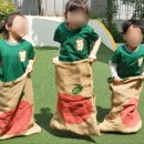 별새꽃유치원 이미지