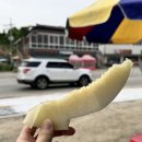 한신농장 이미지