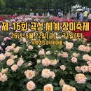 전남장애인정보화협회 | 제 16회 곡성 세계 장미 축제 🌹(26년 5월 22일(금) ~31일 (토) - 24일 개화율 100%)
