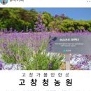 이솔팜빌리지각시재
