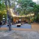 만돈만리 이미지