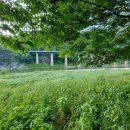 일흥민박 이미지