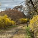 미사뚝방산책로 이미지