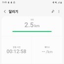 10km 마라톤 51,52,53,54일차 이미지