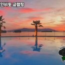 인비토커피 | 더뷰인비토 글램핑 방문 후기 🏕️