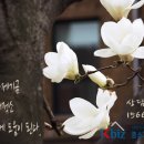 류성내화공업사 이미지