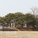 구구2리 이미지
