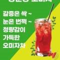 경희양춘당한약국 네이버블로그