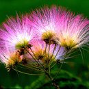 어떤하루 이미지