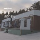 솔바람펜션 | 남해 오르다펜션 후기 개별수영장 있는 조용한 숙소 추천