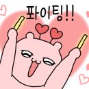 한국체대 복싱클럽 이미지