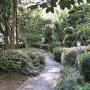 삼성2차 이미지
