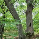 상림관광안내소 이미지