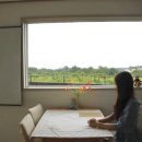 포레스트 13월 이미지