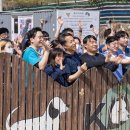 레인보우동물병원 이미지