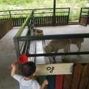 미락농장 이미지