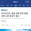 하이트진로, 통풍 유발 퓨린 함량 대폭 낮춘 발포주 출시 이미지