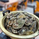 통영굴찜 | 고양/식사동 일산대방어 통영굴찜 방문 후기 : 일산 통영굴찜